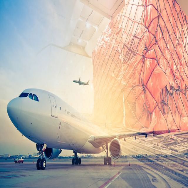 North American Transshipment Logistics Provider Air Freight