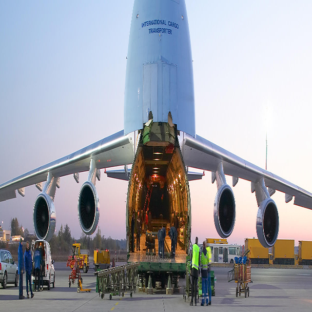 Management Services Oversized Cargo Customized Solutions Door to Door Delivery