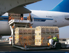 Transshipment Time-Critical Direct North American Air Freight