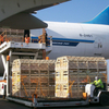 Time-Critical Cross-Docking Customs Clearance South American Air Freight