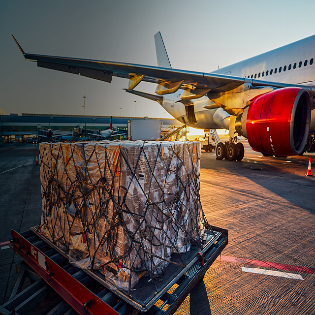 Mediterranean Indian Ocean Customized Solutions Time-Critical Air Freight
