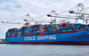 Reefer Oversized Cargo Hazardous Material FBA Shipping Services