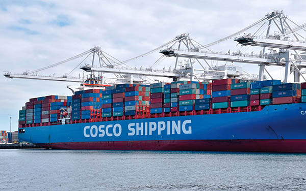 Reefer Oversized Cargo Hazardous Material FBA Shipping Services