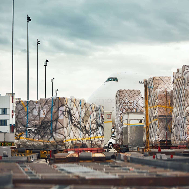 Project Cargo Specialist Hazardous Material Customized Solutions Door to Door Delivery
