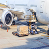 Budget Options Discounted Cost-Saving Door to Door Delivery