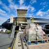 Trade Consultant Transshipment Customized Solutions Door to Door Delivery